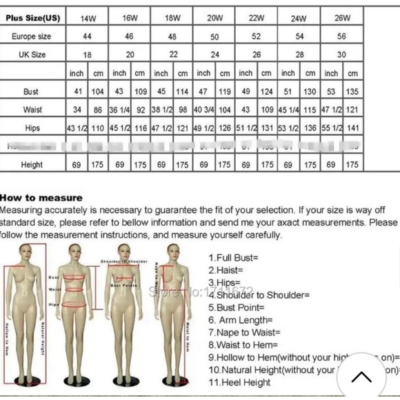 Gorgeous Prom/Wedding/Formal/Graduation Lace Tulle Dress - Picture 13 of 14